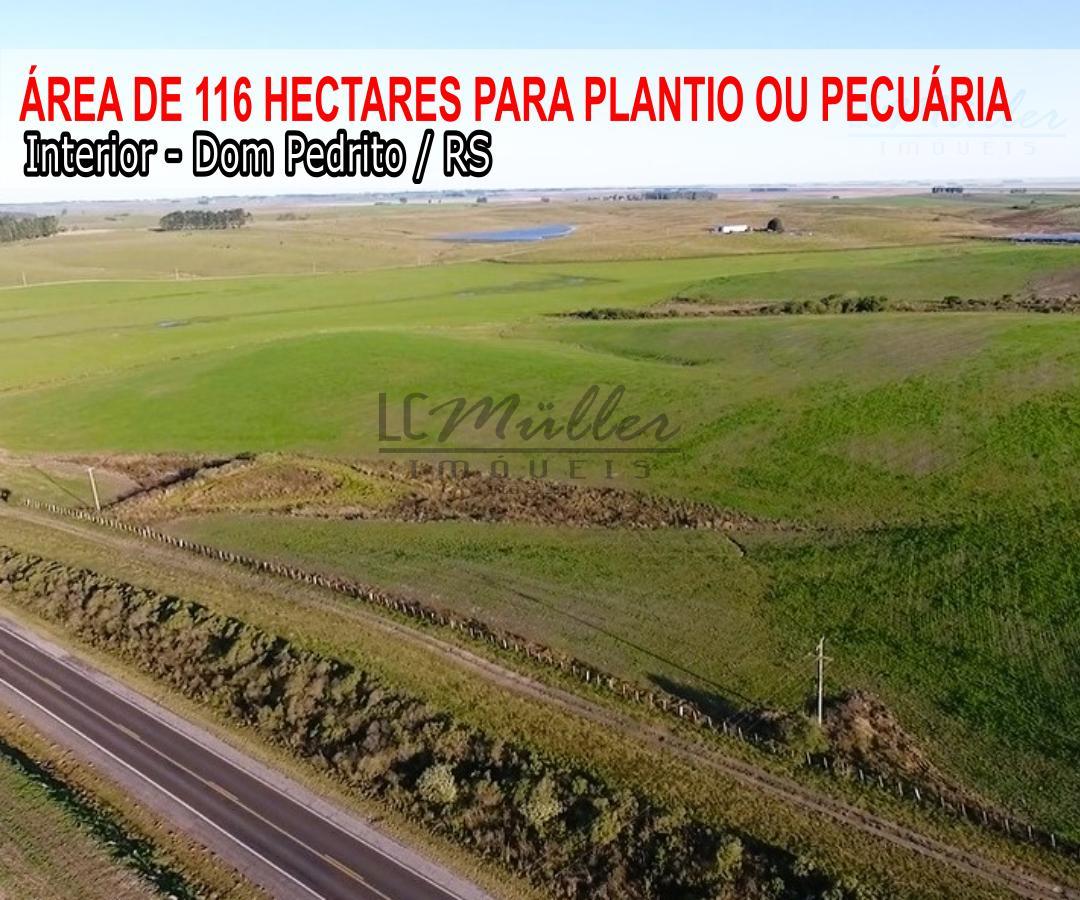 Fazenda à venda, 116m² - Foto 1