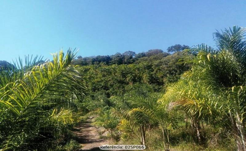 Fazenda à venda com 4 quartos, 120000m² - Foto 10