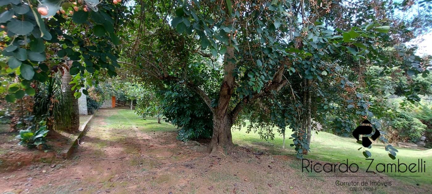 Fazenda à venda com 2 quartos, 2000m² - Foto 33