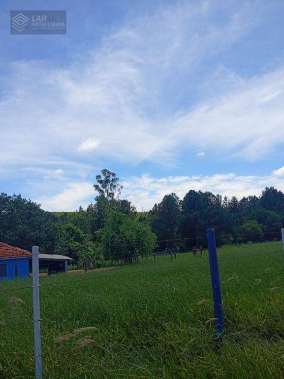 Terreno, 4 hectares - Foto 10