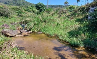 Fazenda à venda com 3 quartos, 30000m² - Foto 14