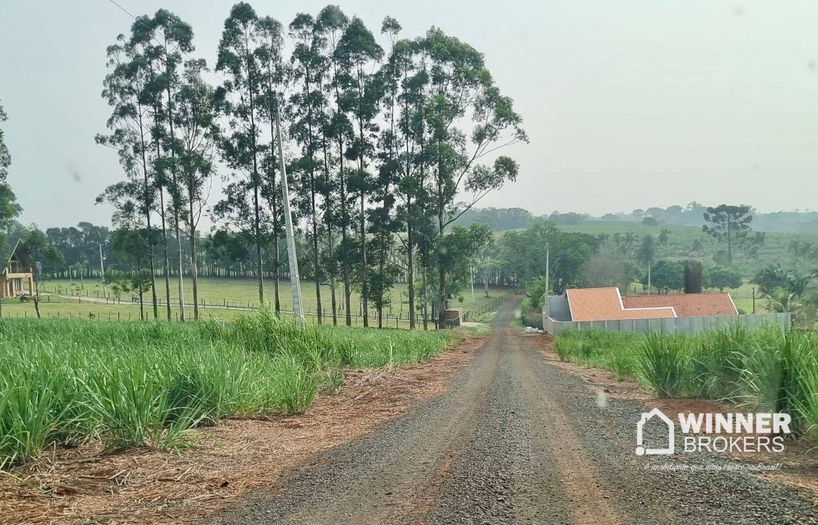 Terreno, 4500 m² - Foto 3