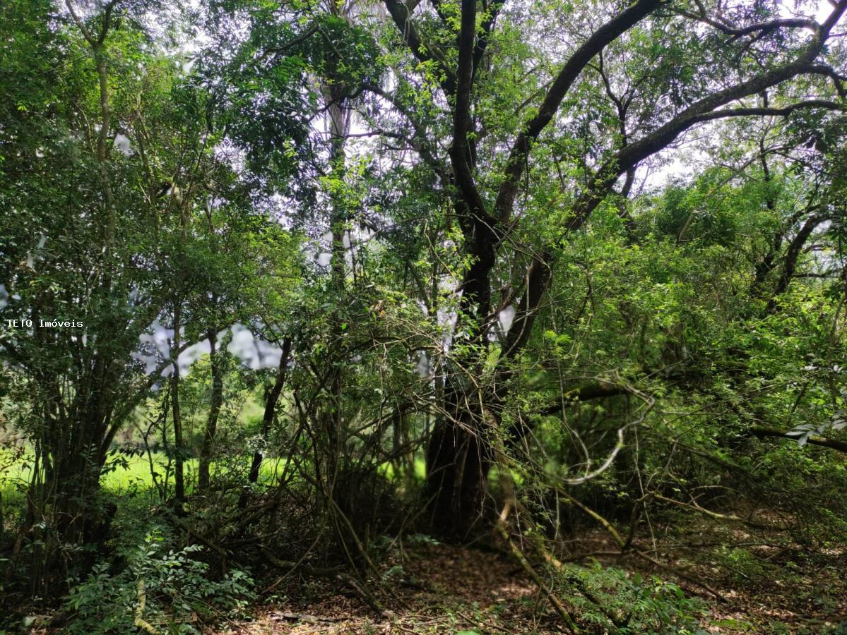 Loteamento e Condomínio à venda, 25000m² - Foto 7