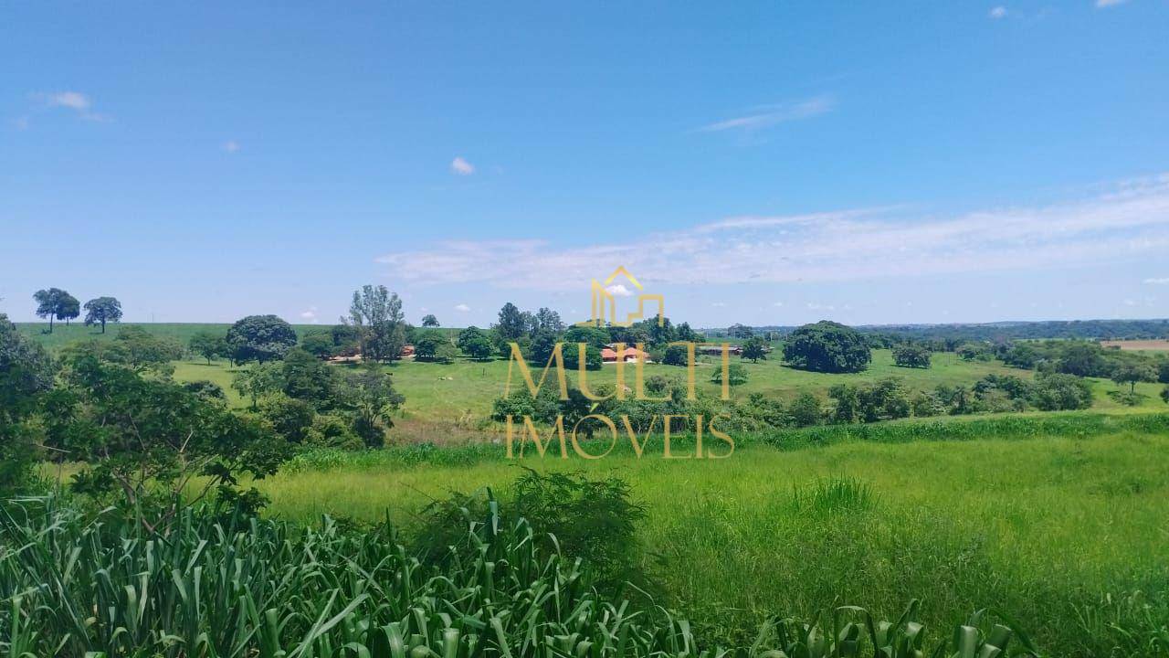 Fazenda à venda com 3 quartos, 1379400M2 - Foto 3