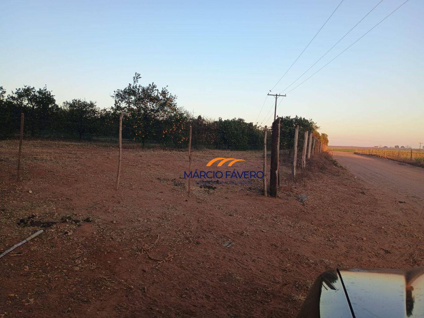 Sítio, 46 hectares - Foto 3