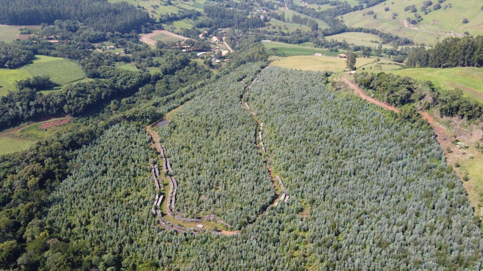 Terreno à venda, 170000m² - Foto 1