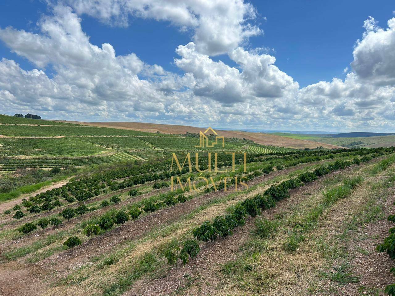 Fazenda à venda, 3200000M2 - Foto 2