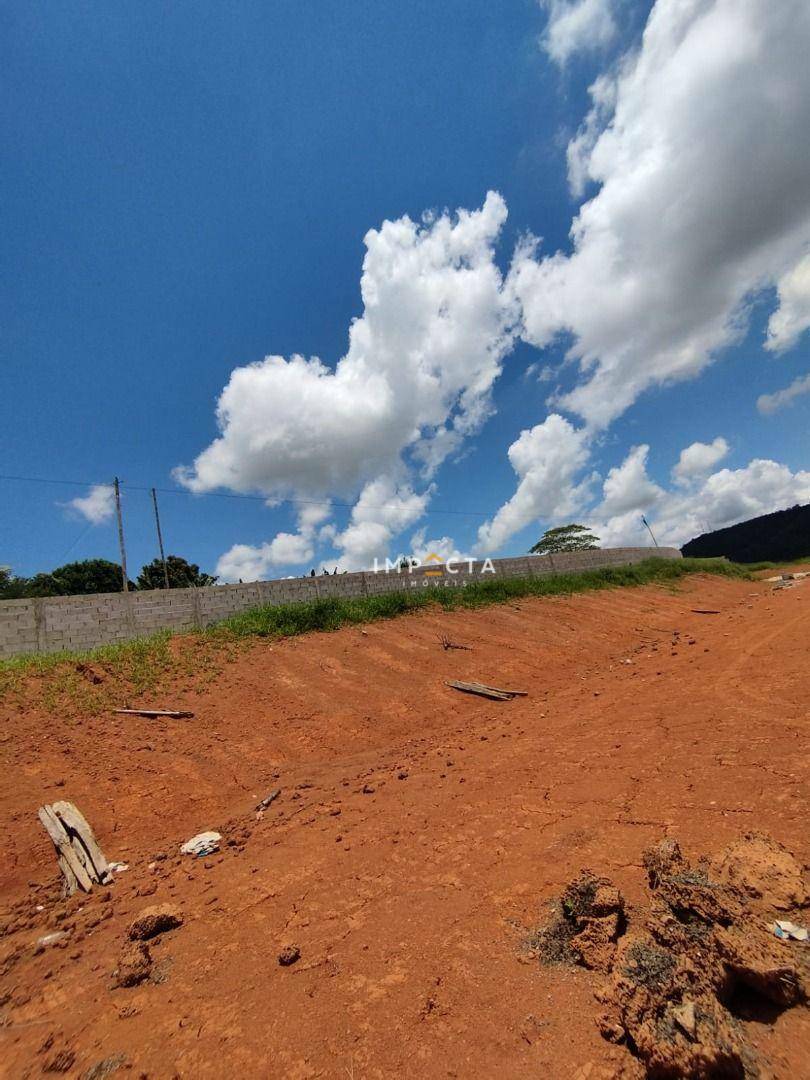 Terreno à venda, 10000M2 - Foto 4