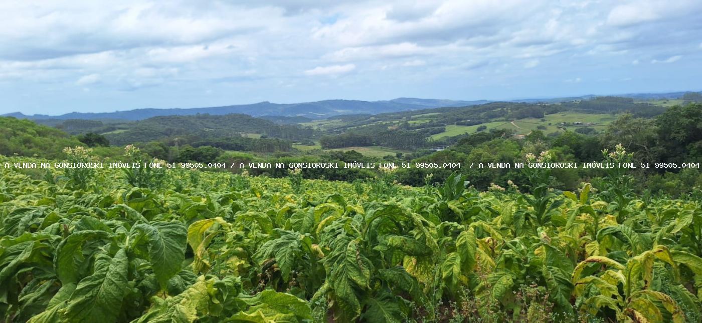 Loteamento e Condomínio à venda, 125000m² - Foto 13