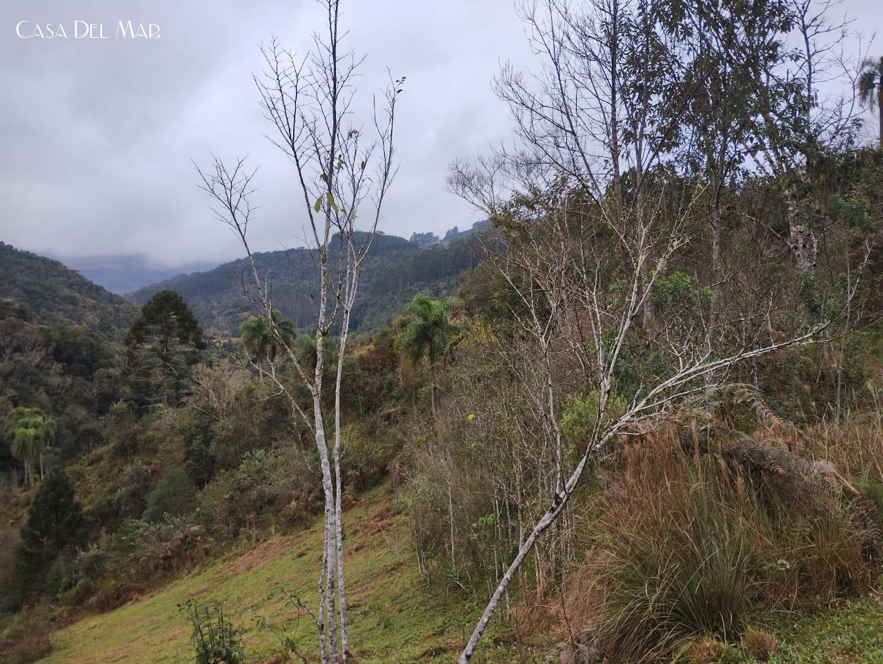 Fazenda à venda, 20000m² - Foto 8