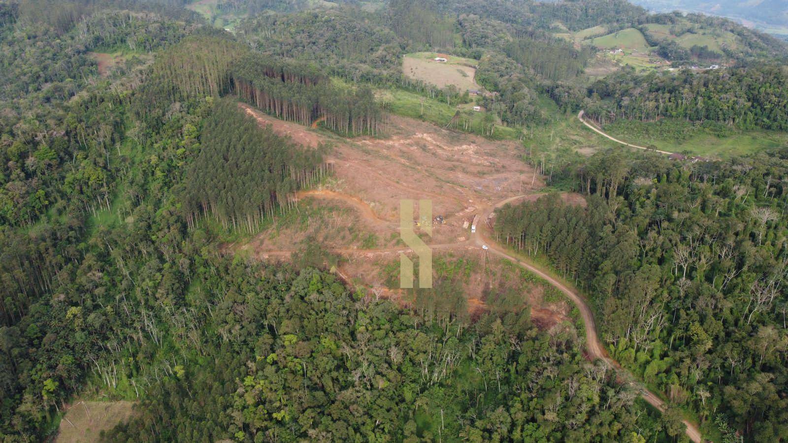 Fazenda, 12 hectares - Foto 5