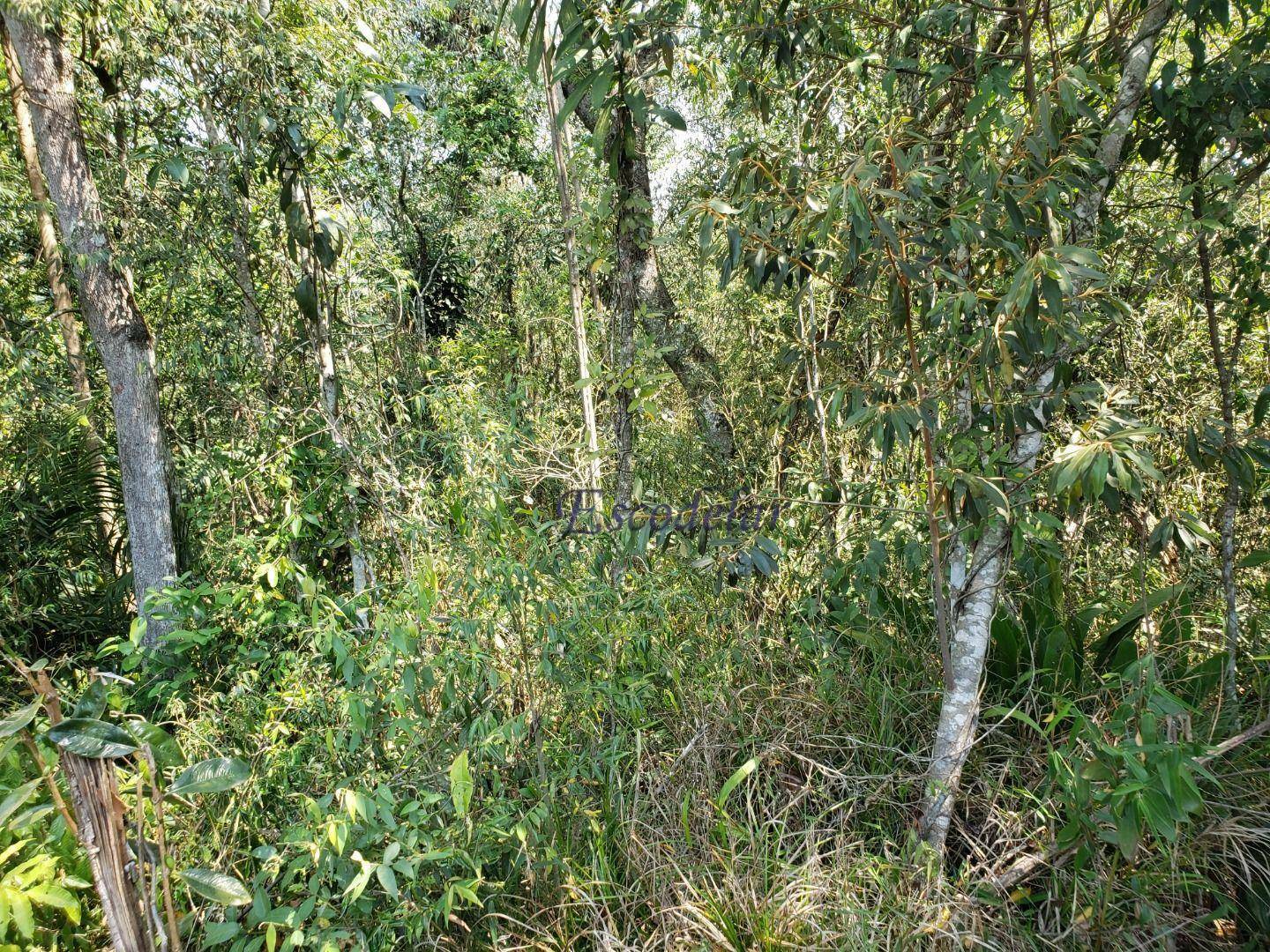 Terreno, 937 m² - Foto 1