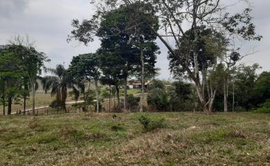 Fazenda à venda com 3 quartos, 87000m² - Foto 19