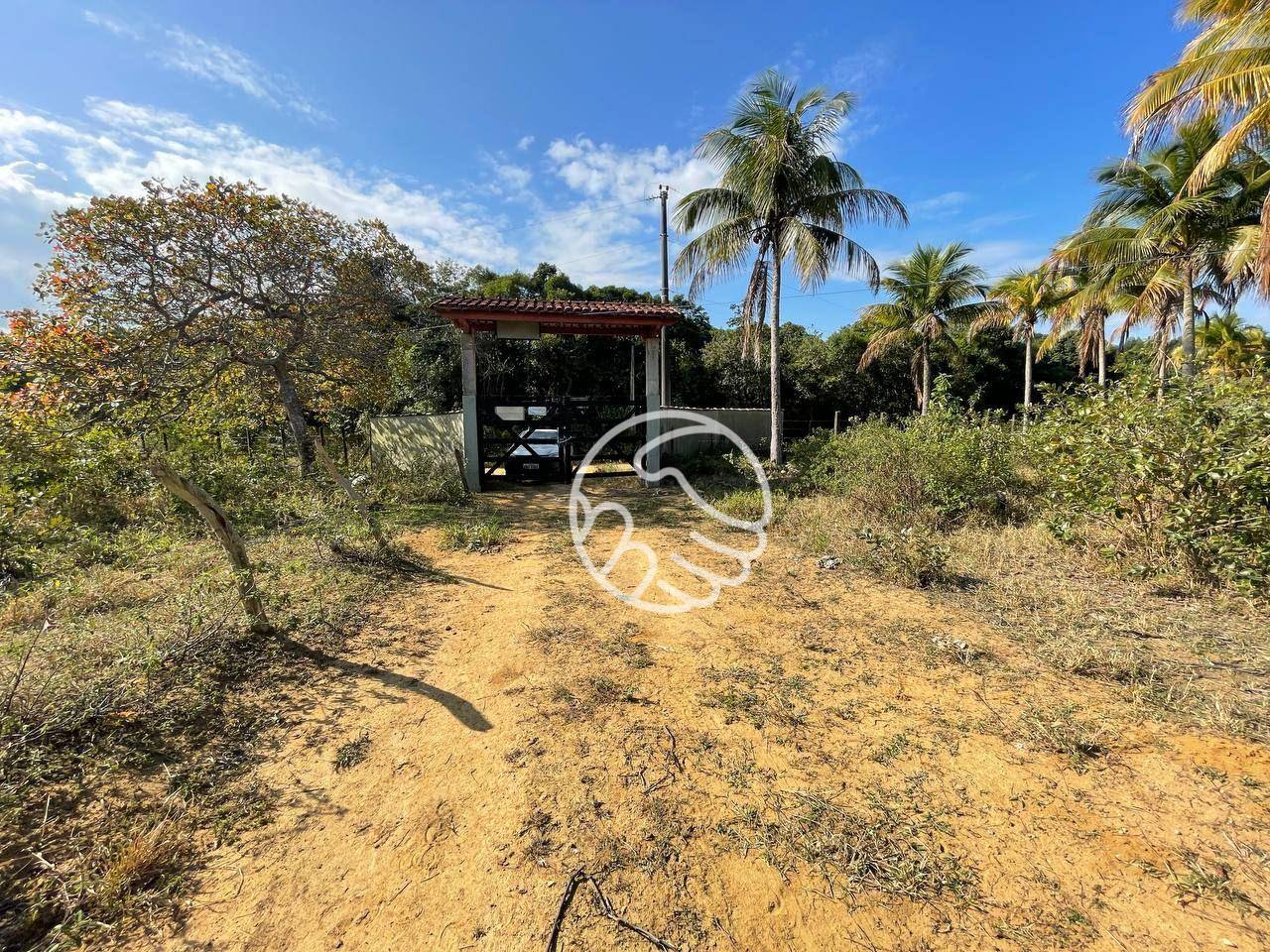 Sítio, 12 hectares - Foto 6