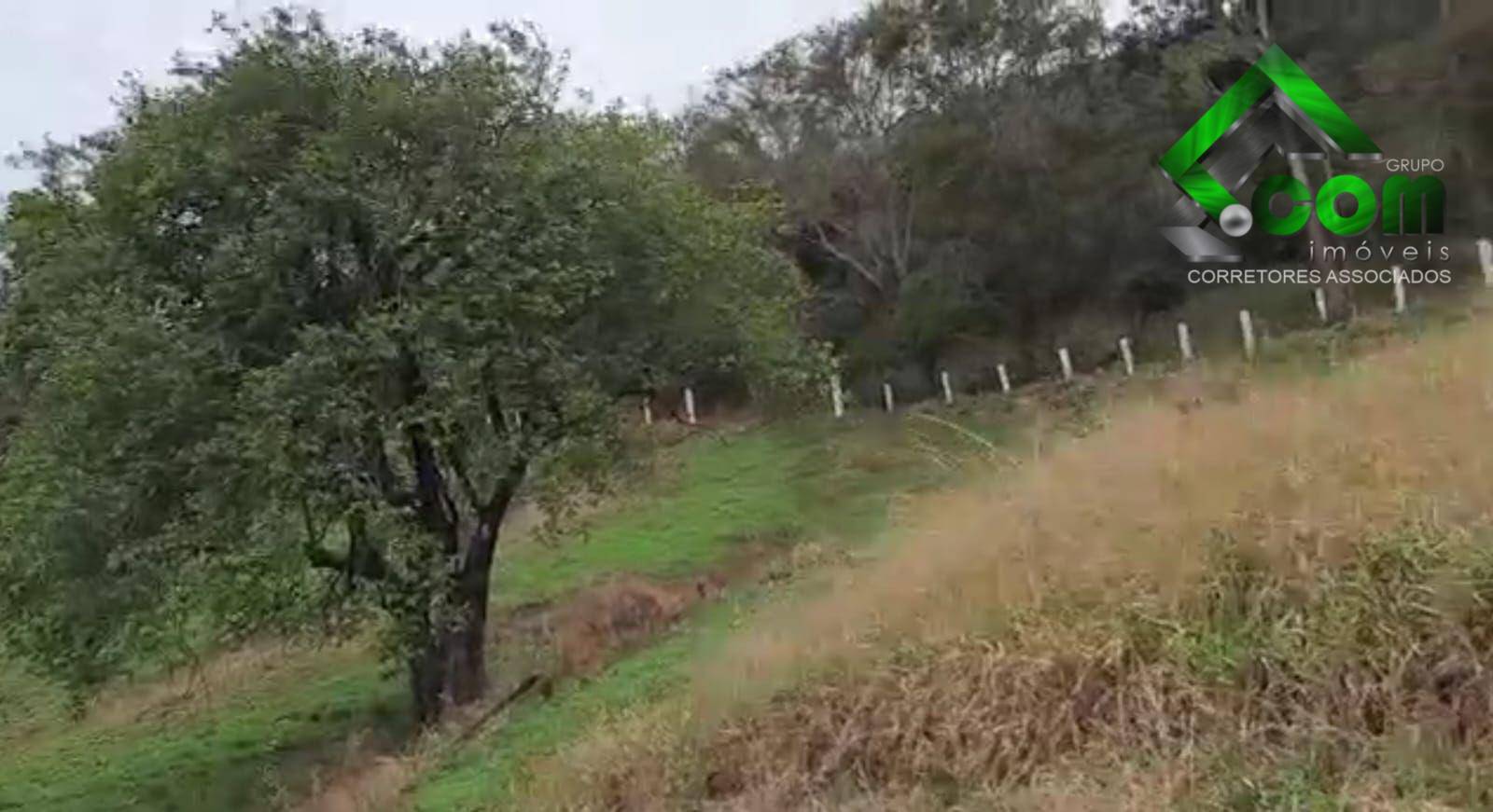 Terreno à venda, 40000M2 - Foto 24