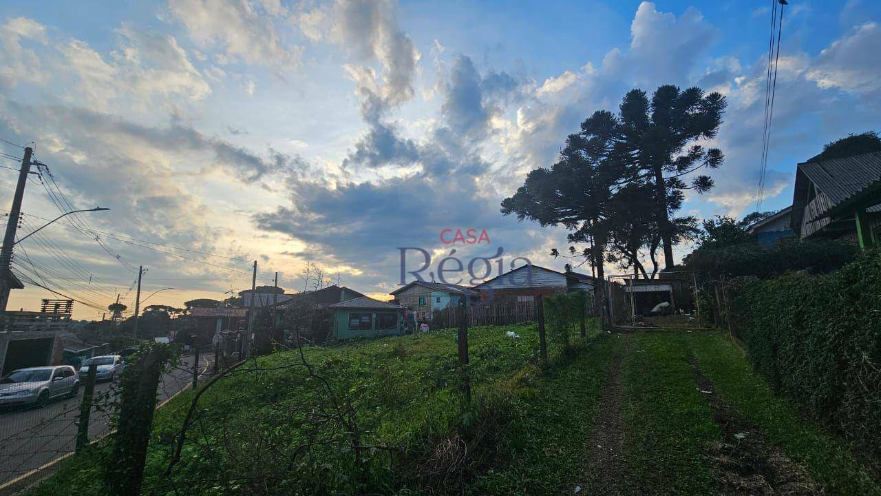 Terreno à venda, 317M2 - Foto 5