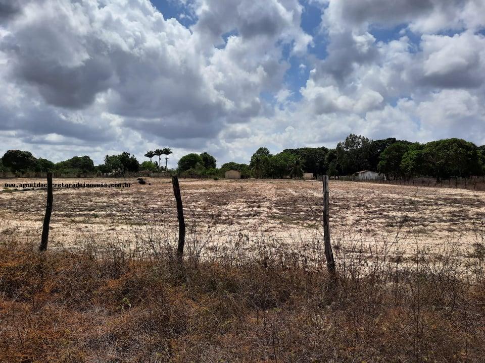 Fazenda à venda com 2 quartos, 14m² - Foto 19