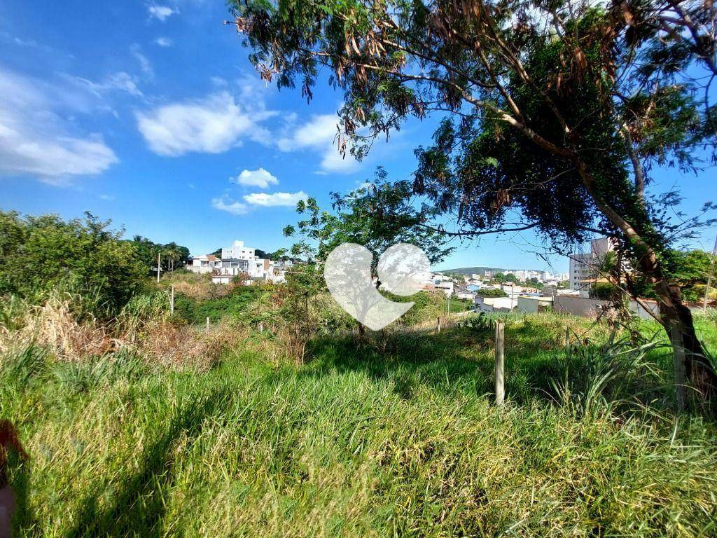 Terreno à venda, 360M2 - Foto 3