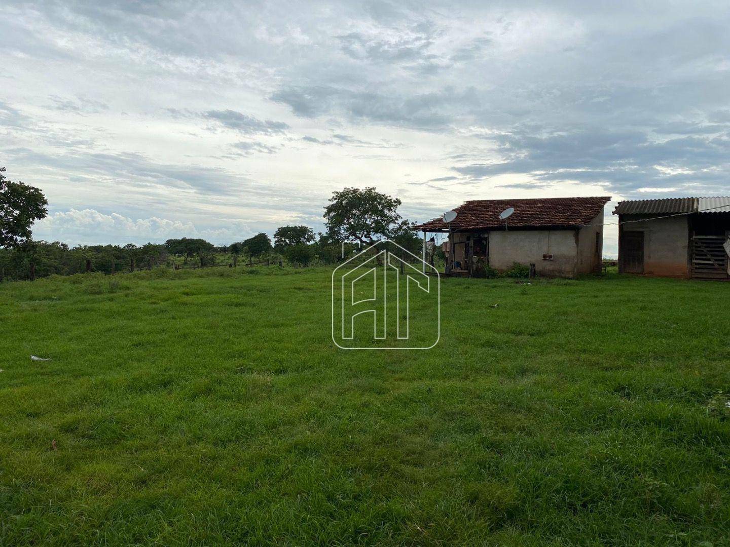 Fazenda à venda com 4 quartos, 40m² - Foto 3