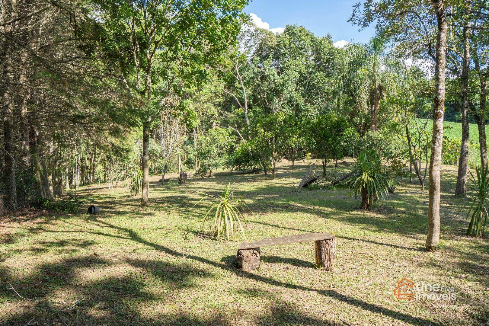 Chácara à venda com 3 quartos, 200m² - Foto 13