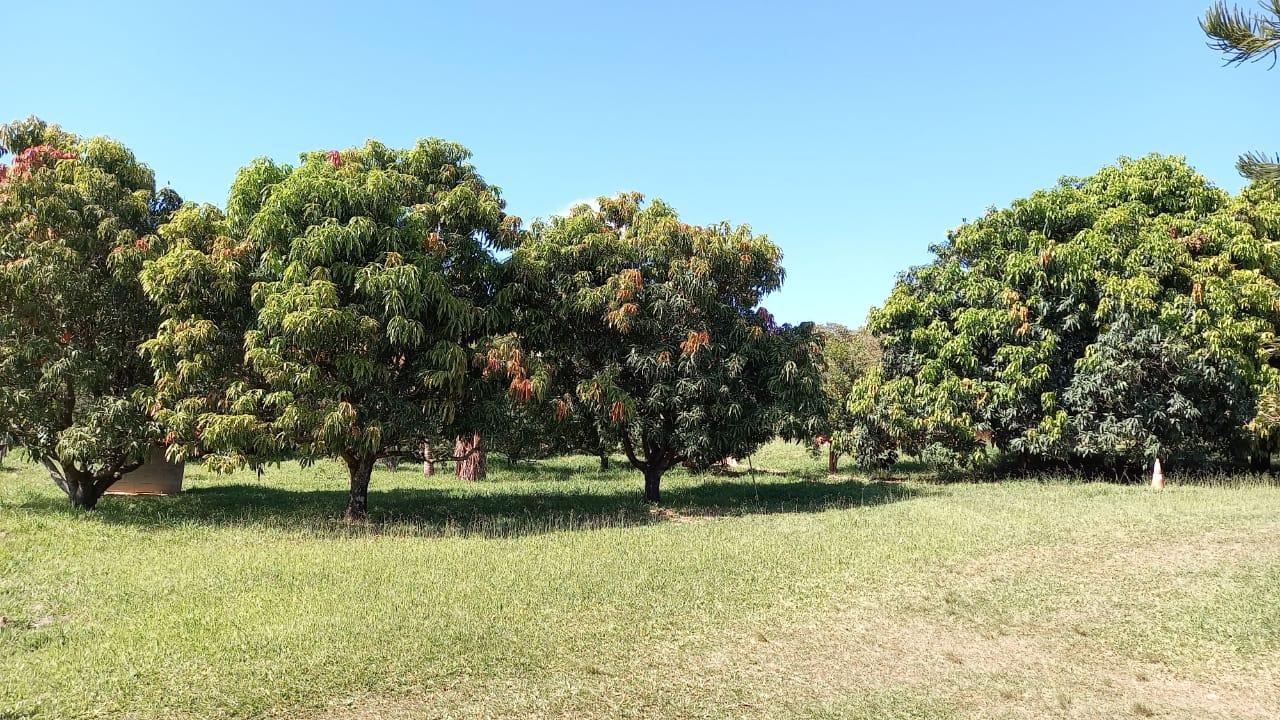 Fazenda à venda com 4 quartos, 1250m² - Foto 12