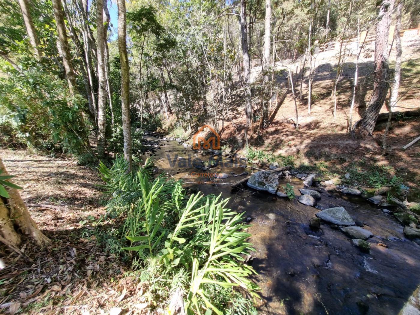 Fazenda à venda com 5 quartos, 1550m² - Foto 29