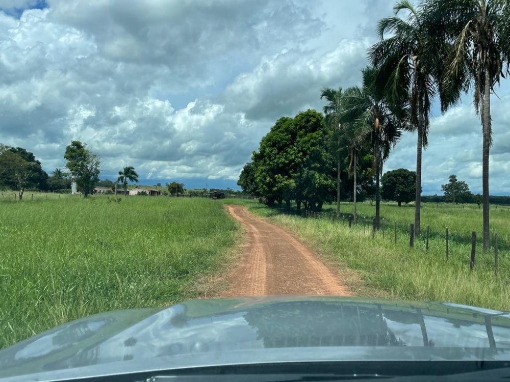 Fazenda à venda, 100m² - Foto 7