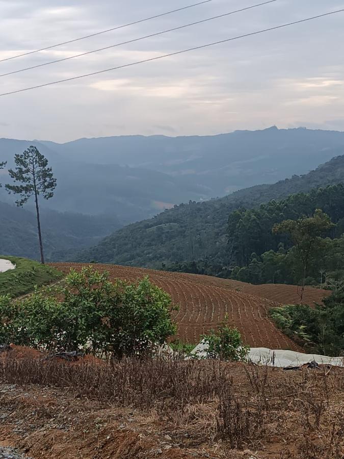 Fazenda à venda com 3 quartos, 260000m² - Foto 38