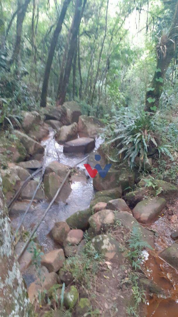 Chácara à venda com 2 quartos, 10000M2 - Foto 4