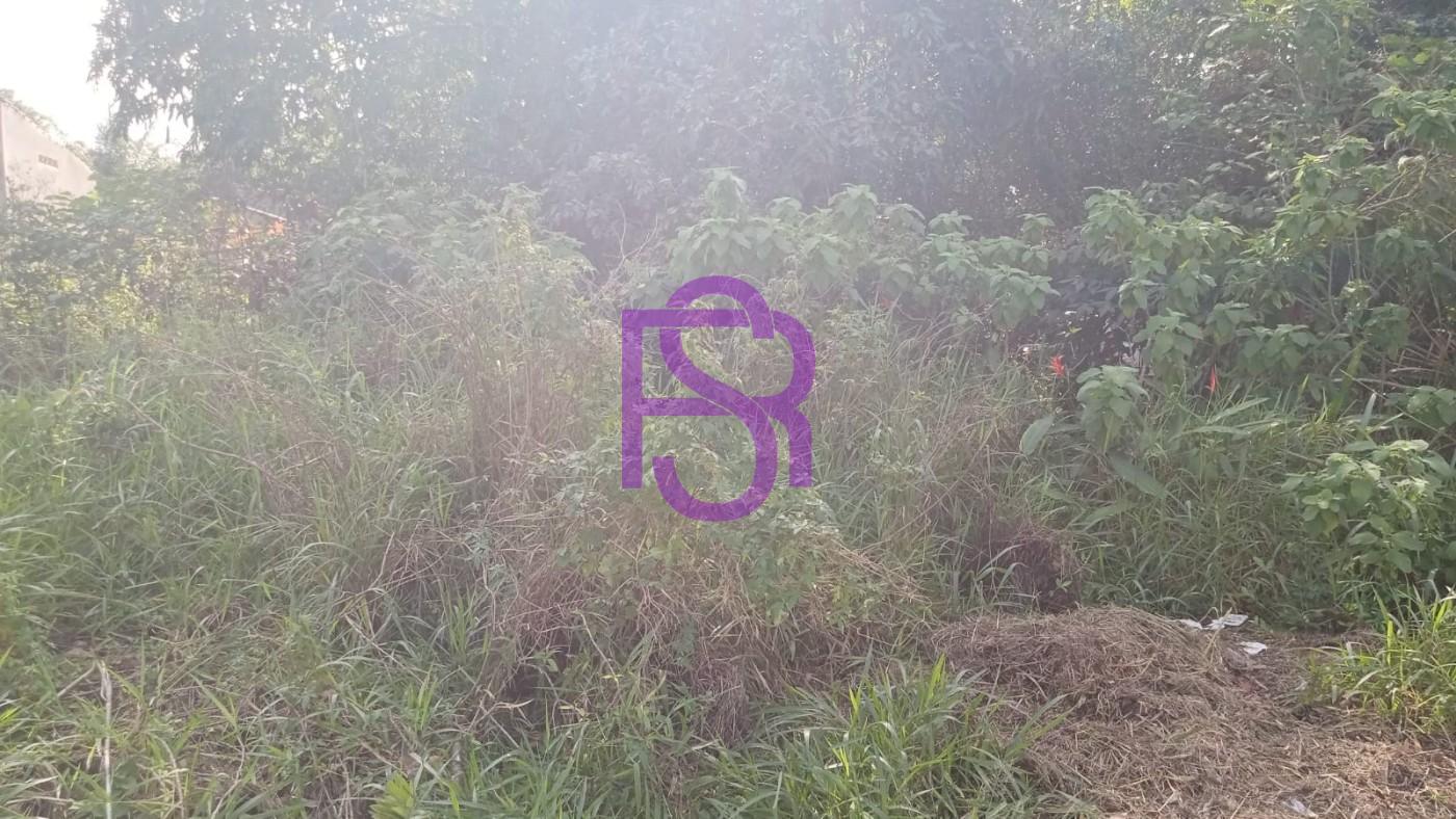 Chácara, 3 quartos, 1495 m² - Foto 26