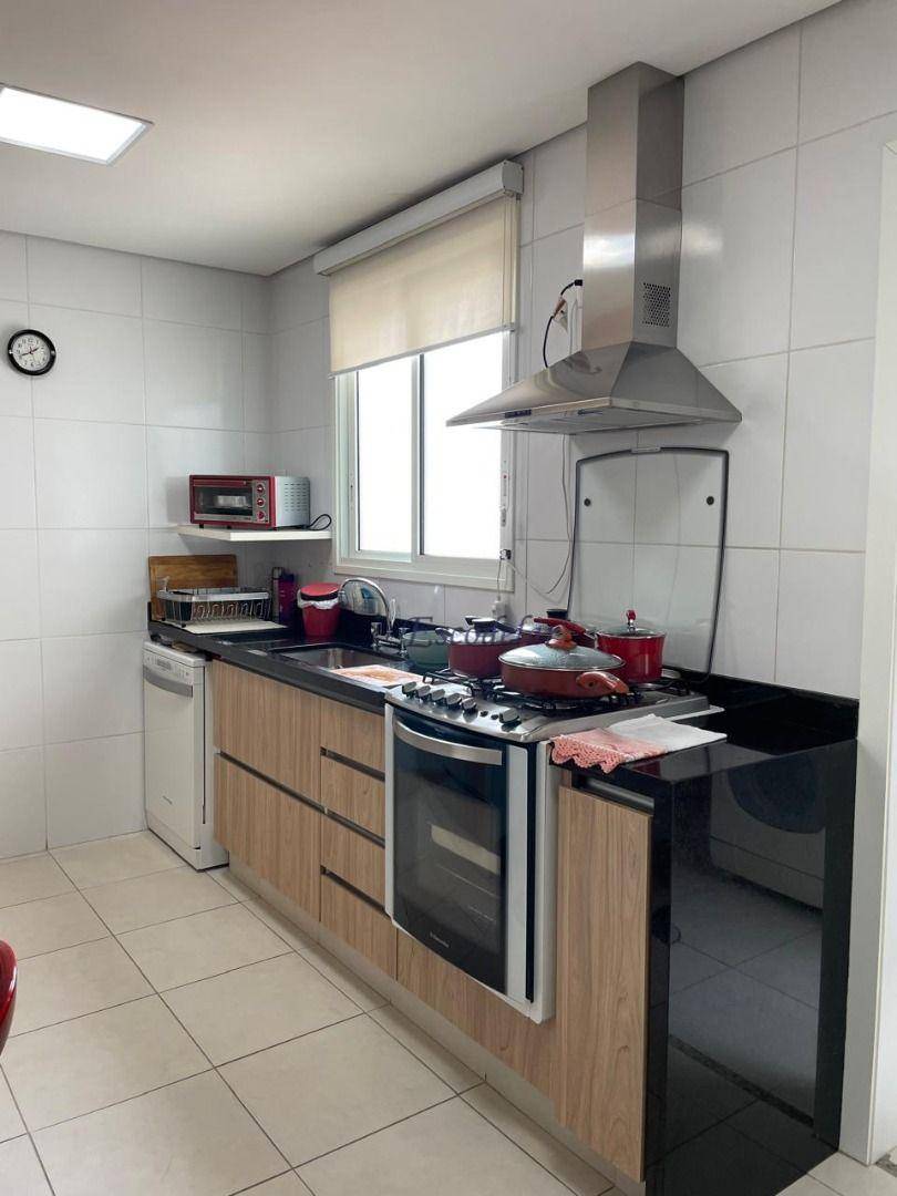 Apartamento à venda com 3 quartos, 123m² - Foto 7