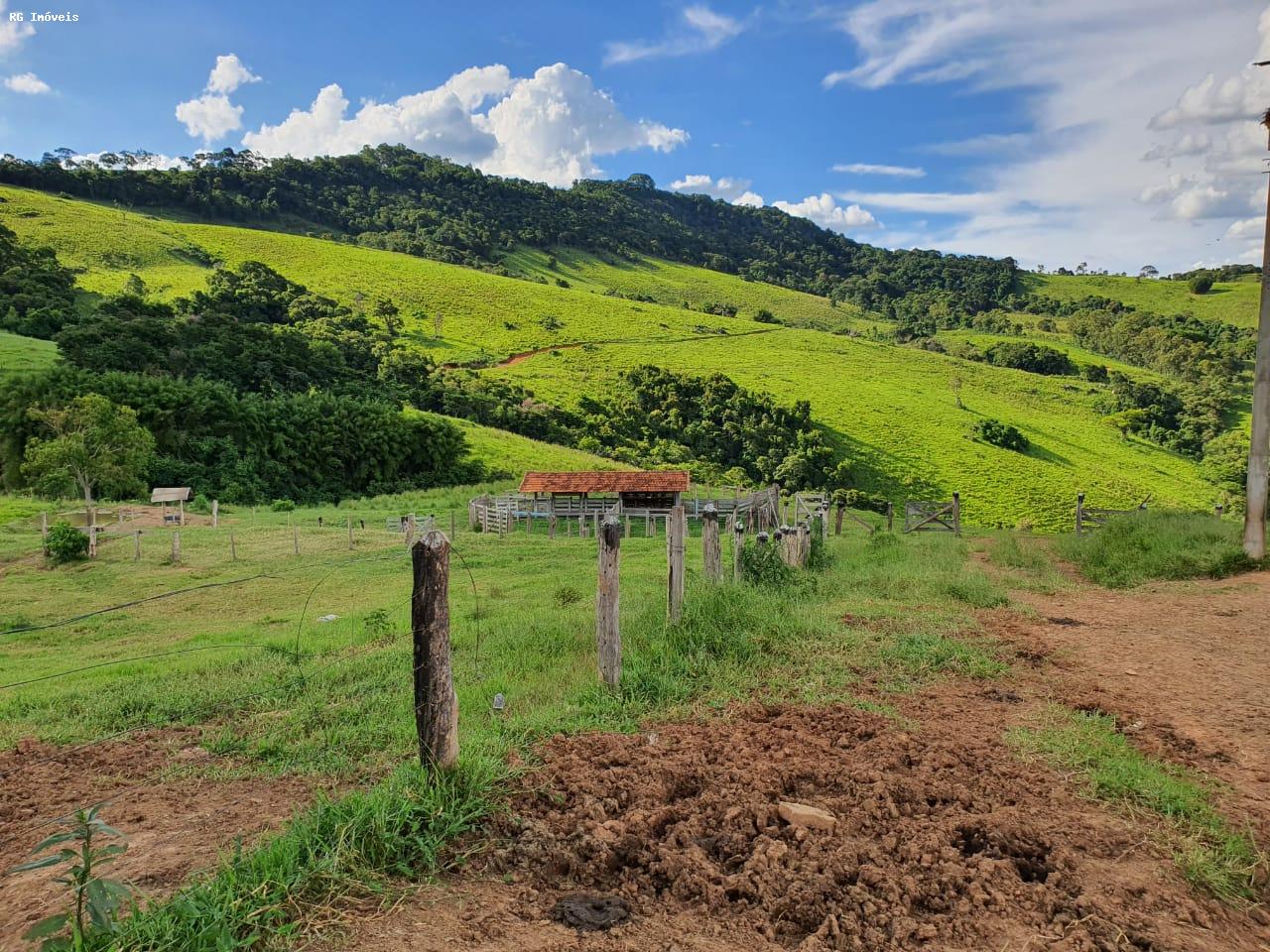 Fazenda à venda com 2 quartos, 220m² - Foto 17