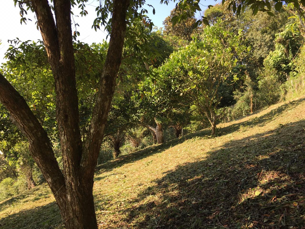 Fazenda à venda com 2 quartos, 1890m² - Foto 5