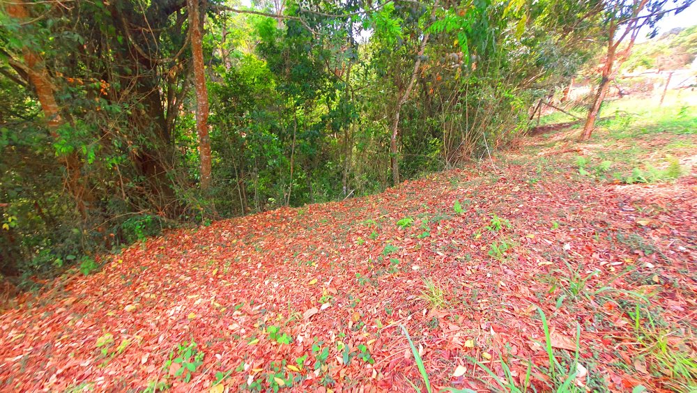 Terreno à venda, 784m² - Foto 16