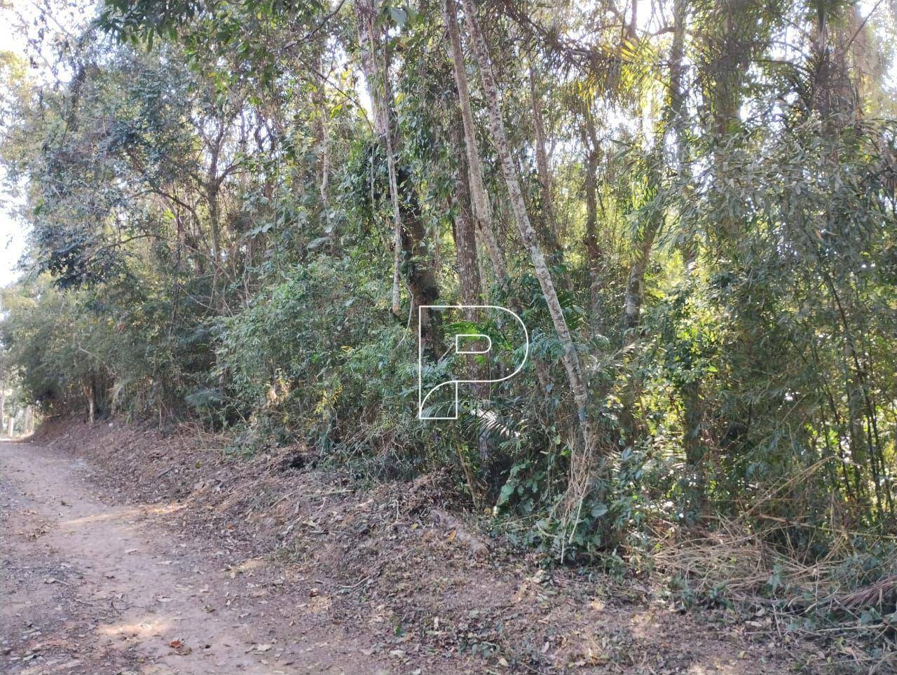 Loteamento e Condomínio, 1521 m² - Foto 4