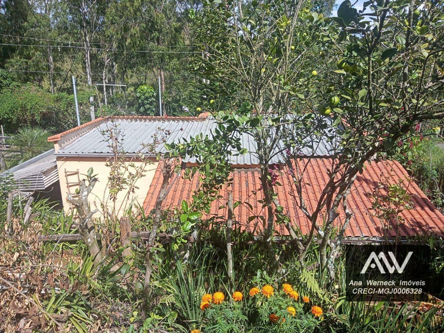 Sítio, 1 quarto, 2000 m² - Foto 28