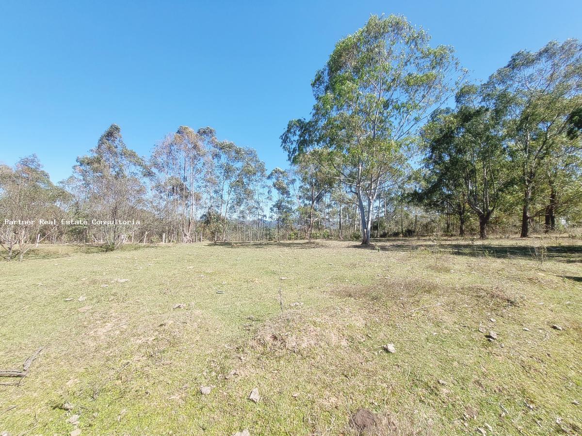 Fazenda à venda com 4 quartos, 20368m² - Foto 6