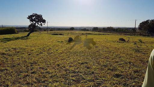 Terreno à venda, 2250M2 - Foto 11