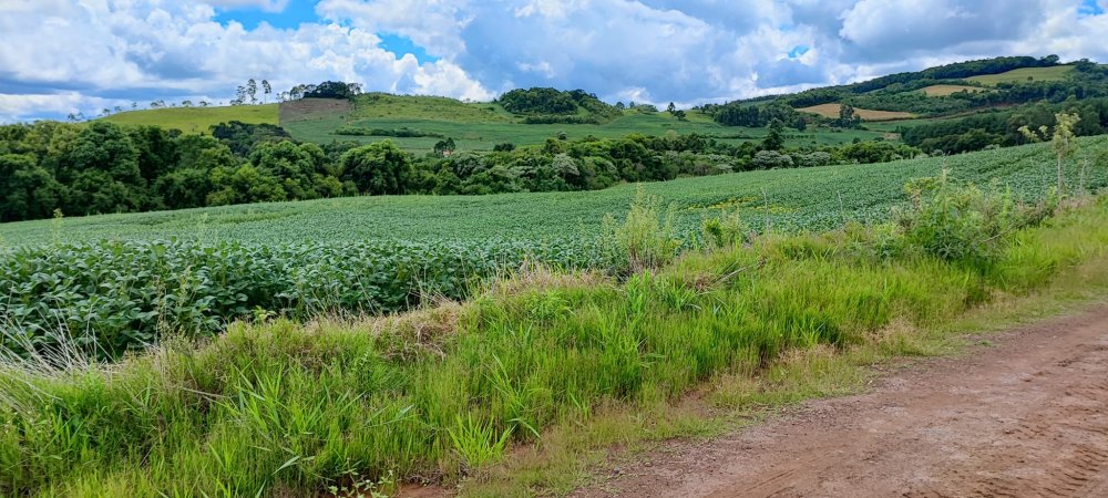 Fazenda à venda, 52m² - Foto 13