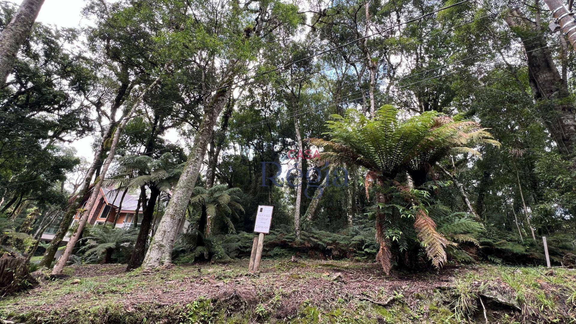 Loteamento e Condomínio à venda, 1024M2 - Foto 2