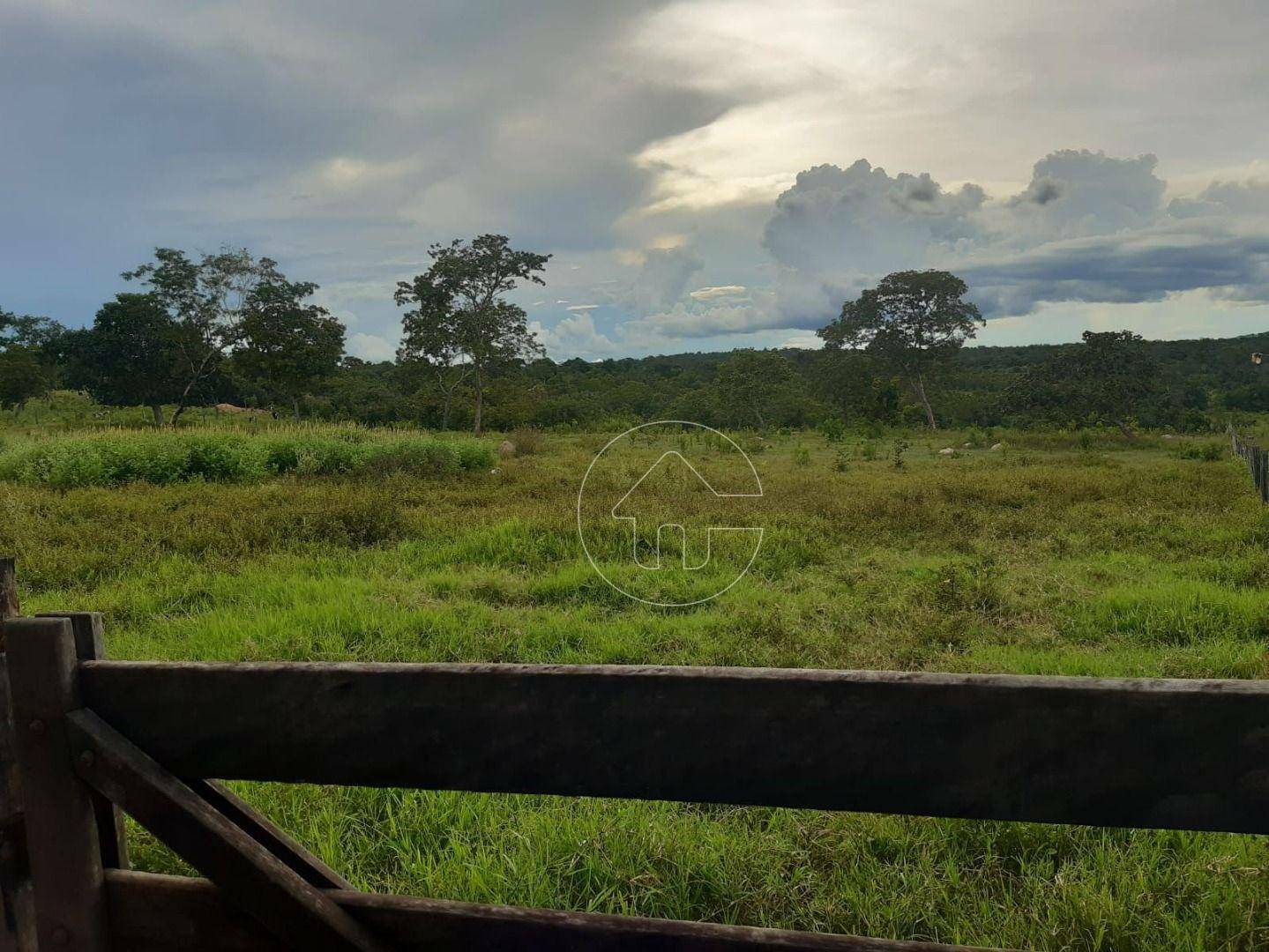 Fazenda à venda, 726000M2 - Foto 21