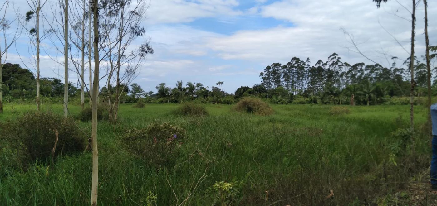 Fazenda à venda, 25000m² - Foto 10