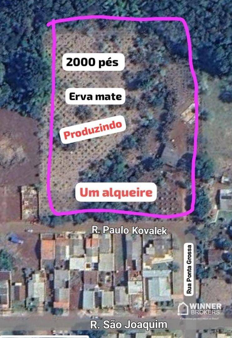 Chácara, 2 hectares - Foto 2