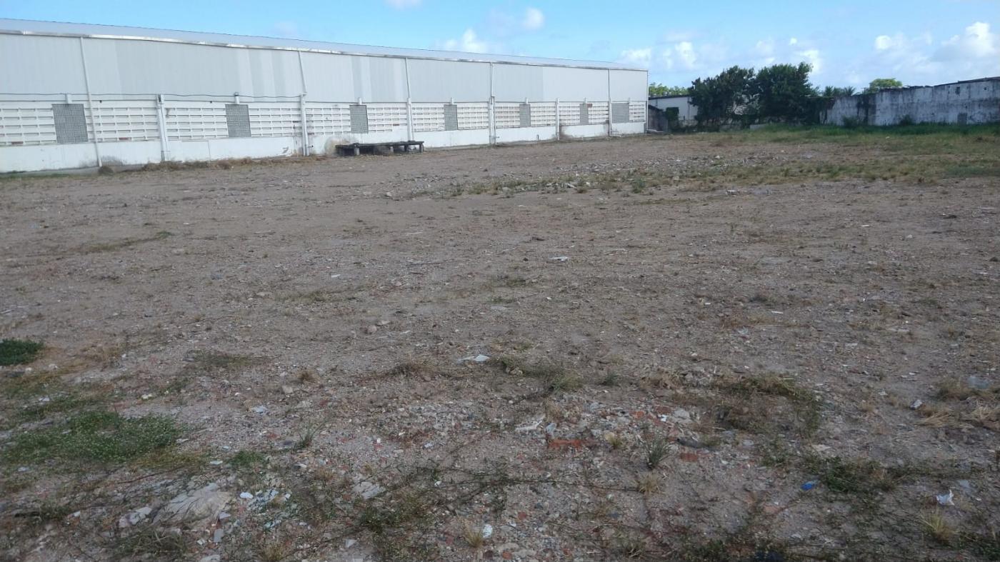 Depósito-Galpão-Armazém para alugar com 1 quarto, 2800m² - Foto 4