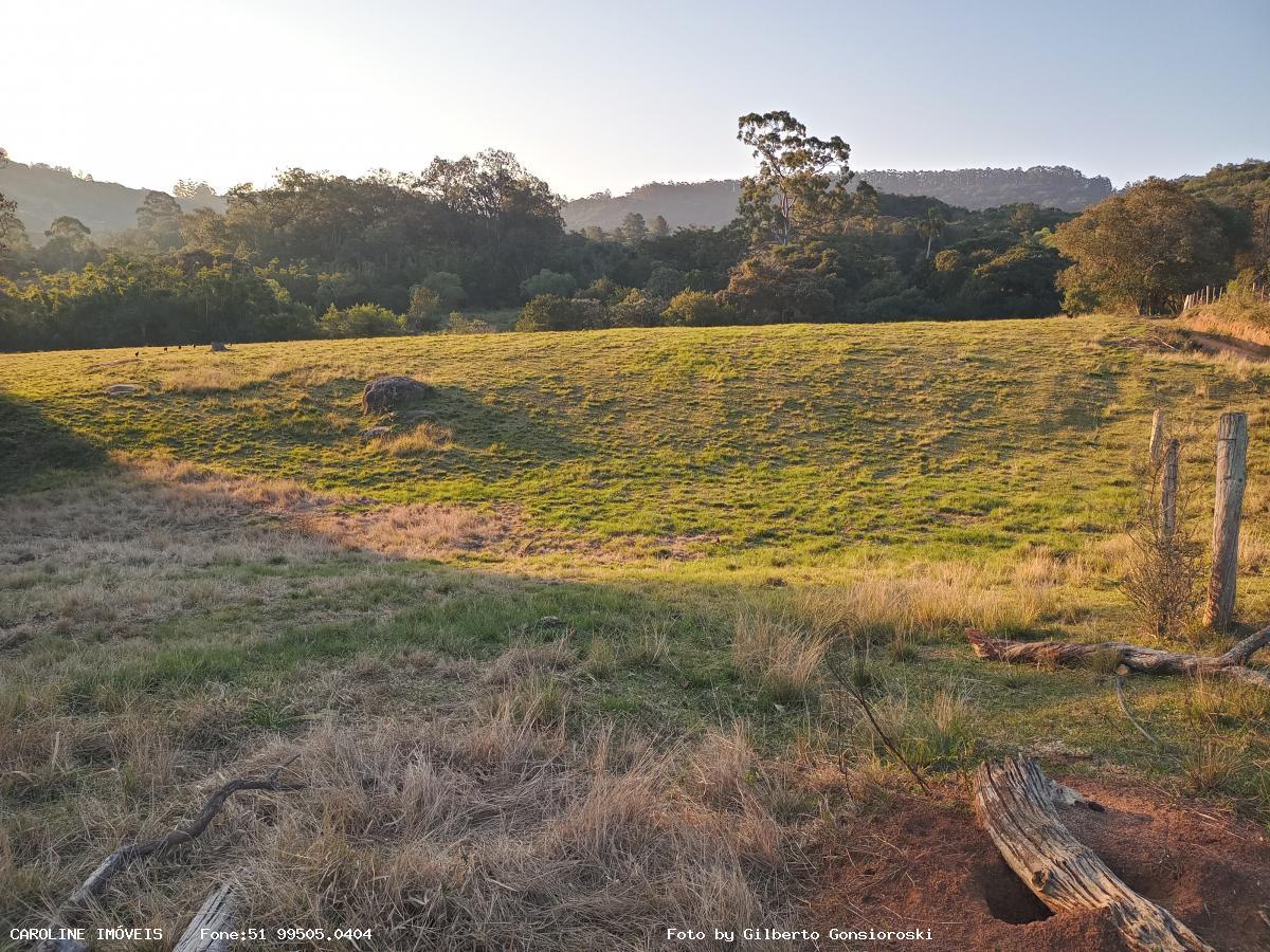 Fazenda à venda com 3 quartos, 586000m² - Foto 18