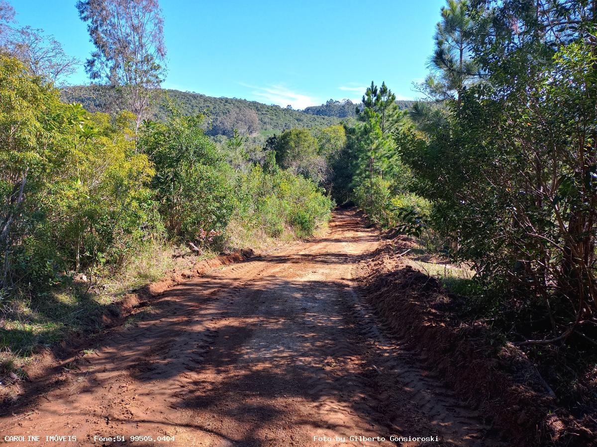 Sítio à venda com 4 quartos, 160000m² - Foto 15