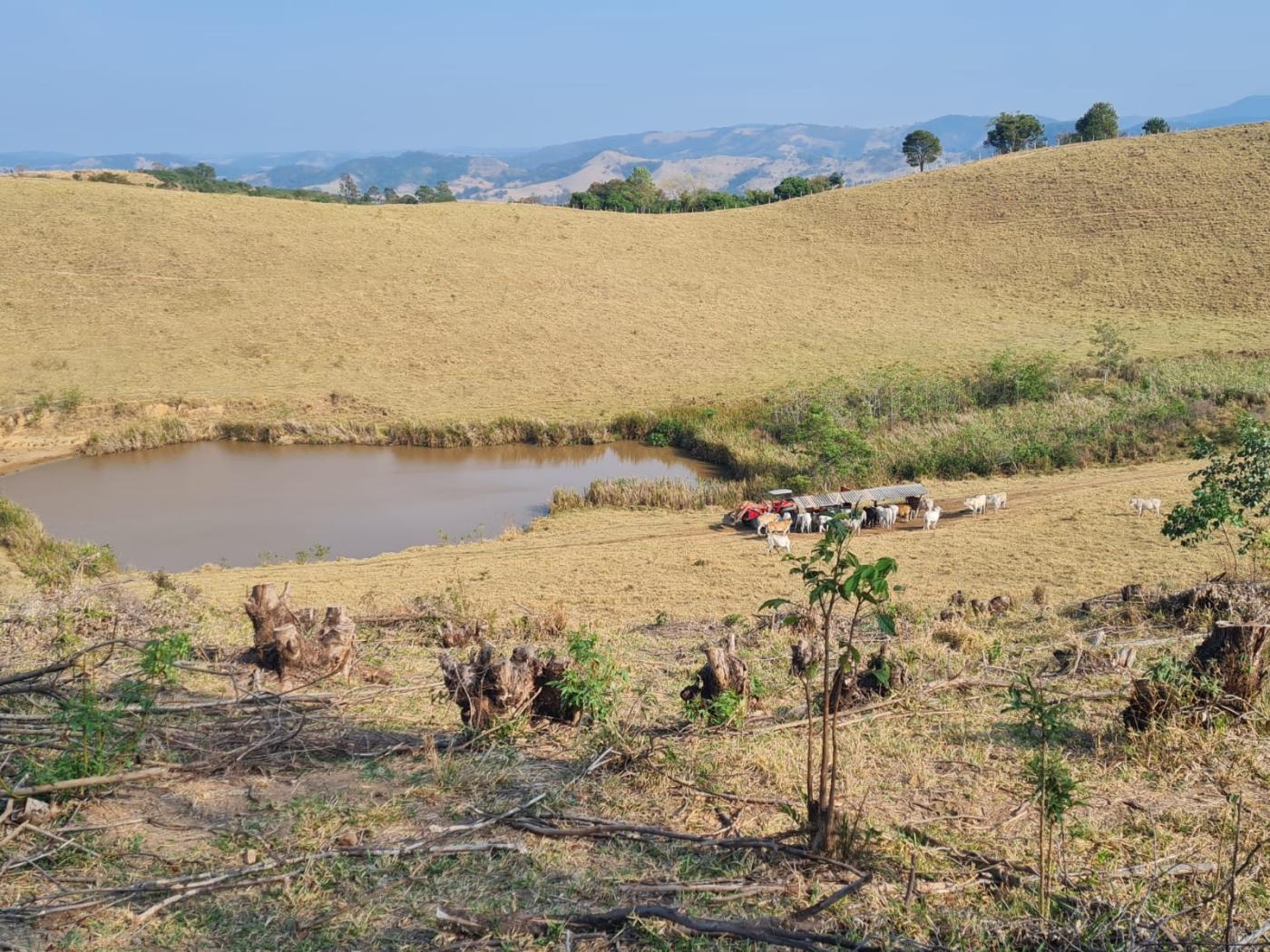 Fazenda à venda, 417m² - Foto 5