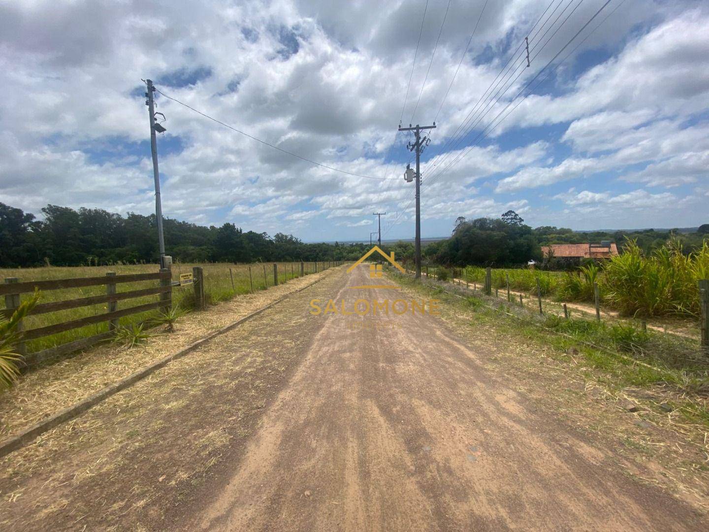 Sítio, 4 hectares - Foto 5