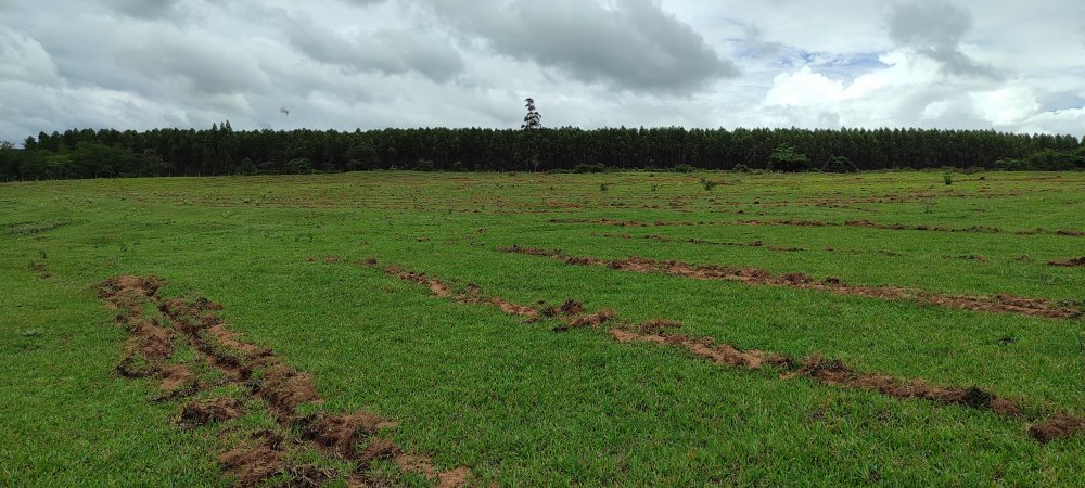 Fazenda à venda, 13m² - Foto 4