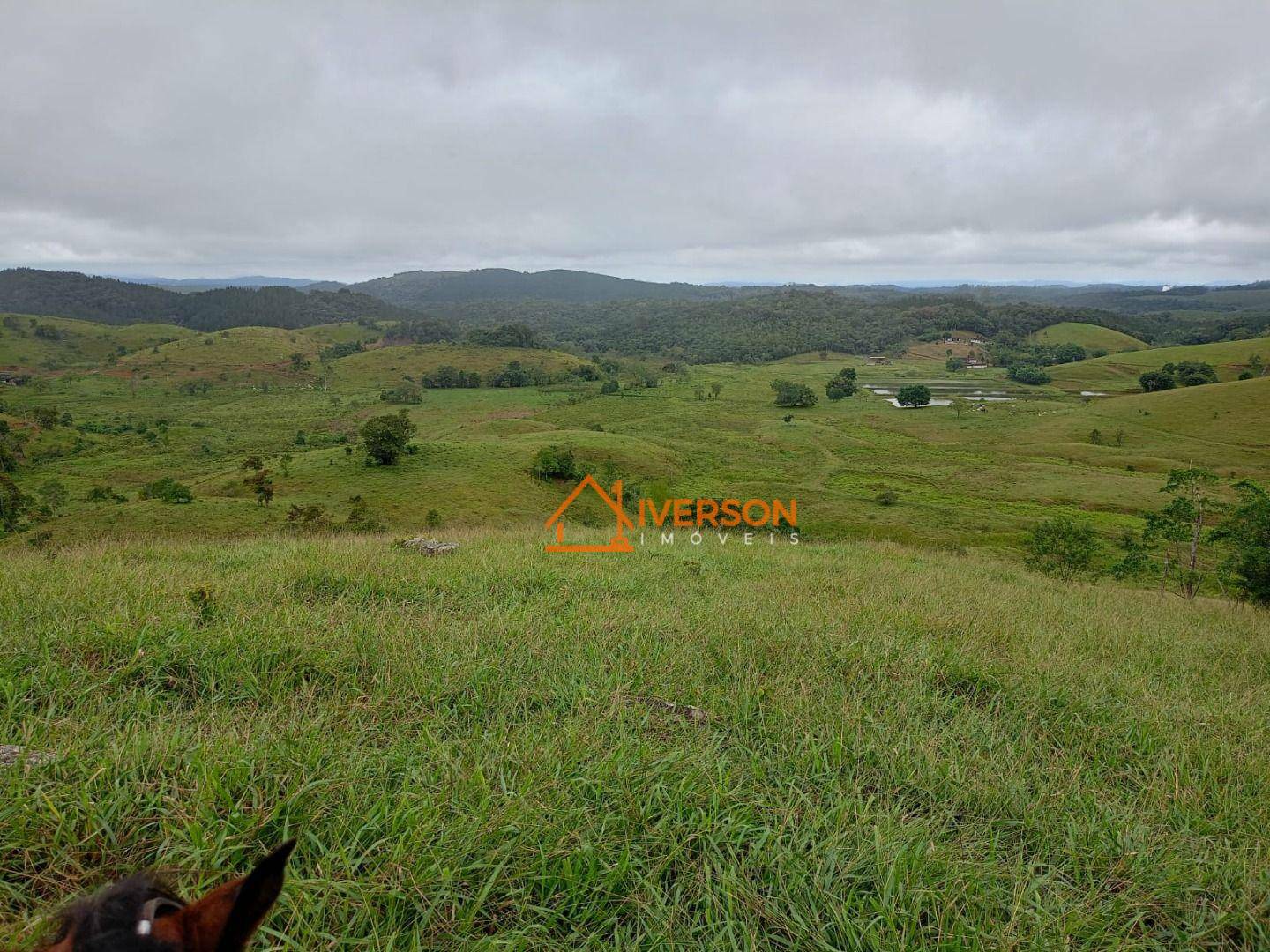 Fazenda à venda com 2 quartos, 300m² - Foto 3